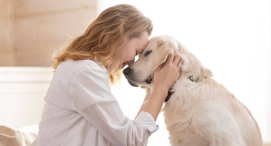 Cómo y dónde acariciar a un perro: métodos y beneficios